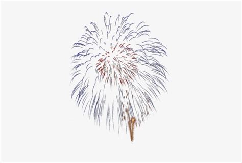 Download Fireworks S Feu D Artifice Animés Transparent Png