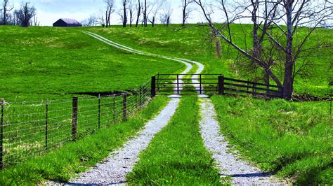 Way Path Road Green Fields Trees Landscapes Nature Earth