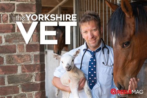 Watch The Yorkshire Vet Season 16 In Europe