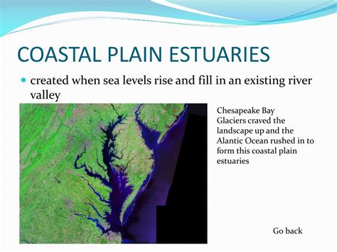 Ppt Estuary Powerpoint Presentation Free Download Id2177511