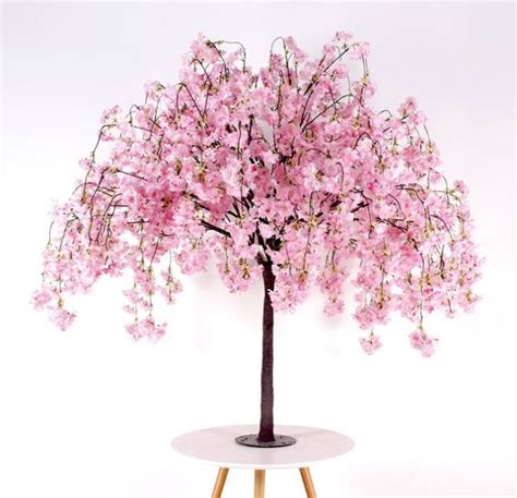 China Blue Silk Wood Trunk Cherry Blossom Trees Supplier Suppliers