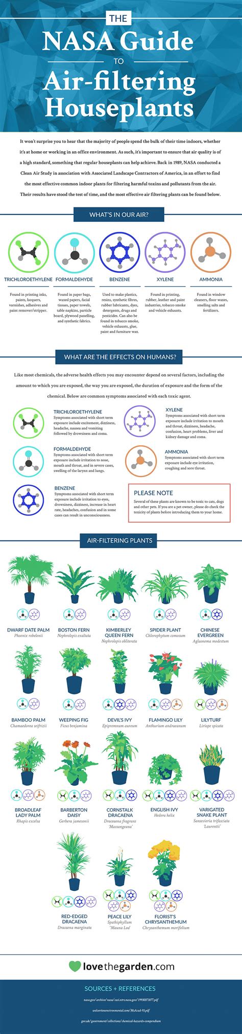 Nasa Reveals A List Of The Best Air Cleaning Plants For Your Home