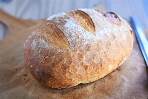 Hearty Artisan Bread Recipe Ricomoren