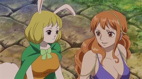 Carrot And Nami One Piece Amino