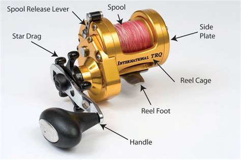 Sea Angling For Beginners Multiplier Reels Planet Sea Fishing