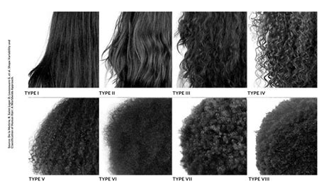Top 48 Image What Hair Type Do I Have Vn