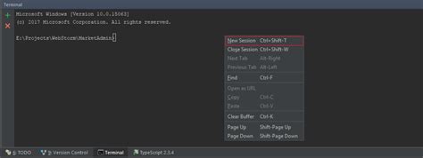 Node Js How To Use Command Prompt After Ng Serve Was Compiled Itecnote