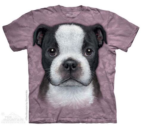 Vincent Hie Productions The Mountain Boston Terrier Puppy Big Face