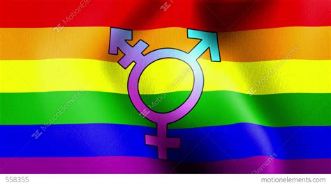 waving rainbow flag transgender stock animation 558355