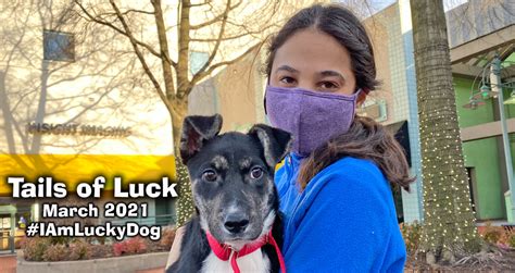 Lucky Dogs March 2021 News Lucky Dog Animal Rescue