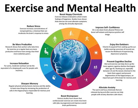 The Physical And Mental Activity Can Counteract The Neurodegenerative