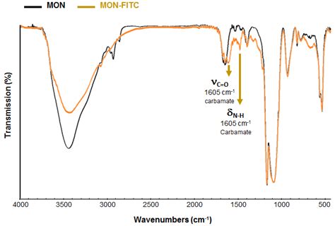 Figure S Ftir Spectra Comparison Between Mon And Mon Fitc Nps