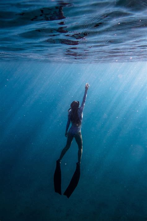 Underwater Photography Freediving Ocean Underwater Photography