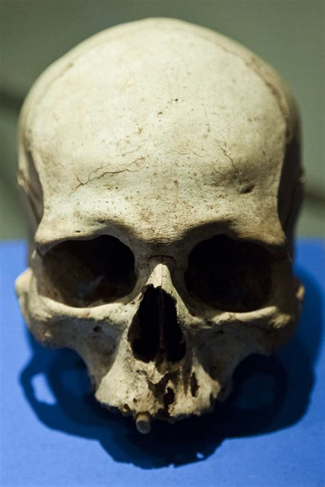 Human Skull from the Ħal Saflieni Hypogeum Malta Rowan Millar Flickr