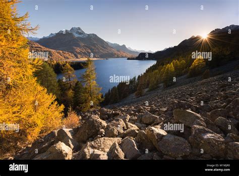 Lake Sils In Autumn Engadine Valley Graubunden Switzerland Stock