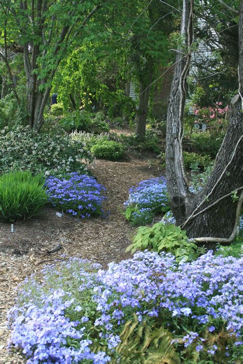 24 Woodland Garden Design Fancydecors Planificación De Jardín