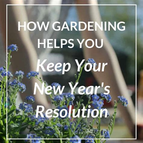 12 Ways Gardening Helps You Keep Your New Years Resolution You