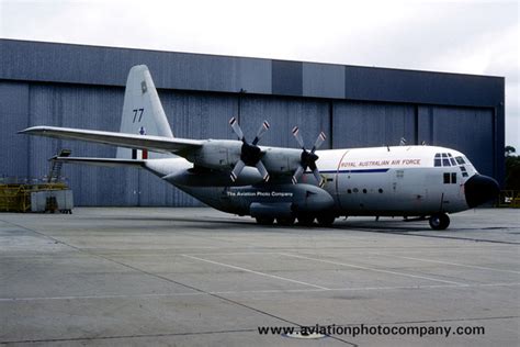 The Aviation Photo Company C 130 Hercules Lockheed Raaf 37