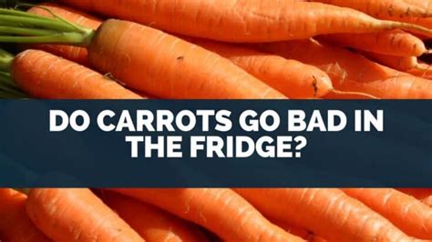 Do Carrots Go Bad In The Fridge How To Tell Eat For Longer Food