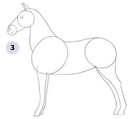 Schritt Für Schritt Zeichnen Pferd Zeichnen Bleistift Anleitung