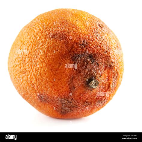 Rotten Orange Isolated On White Stock Photo Alamy