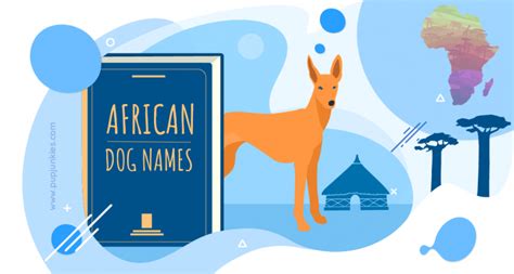 104 Most Popular African Dog Names Of 2021