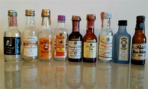 Lot Of Nine Empty Vtg 1960s Miniature Glass Liquor Bottles Whisky
