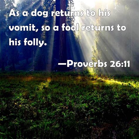Proverbs 2611 As A Dog Returns To His Vomit So A Fool Returns To His