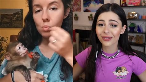 The Funniest Tiktok Stitches Ever Azzyland The Funniest Tiktok Stitches Ever Azzyland By