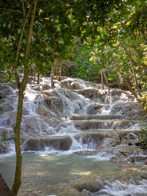 Dunns River Falls Flowing In Forest Stock Image Image Of River