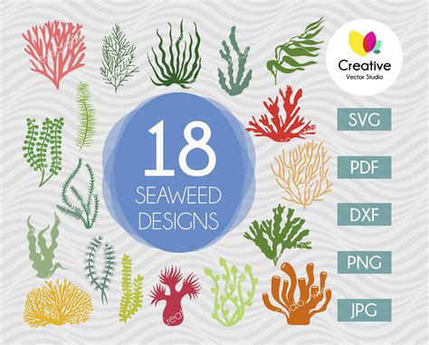 Seaweed Svg Bundle Cut File Creative Vector Studio