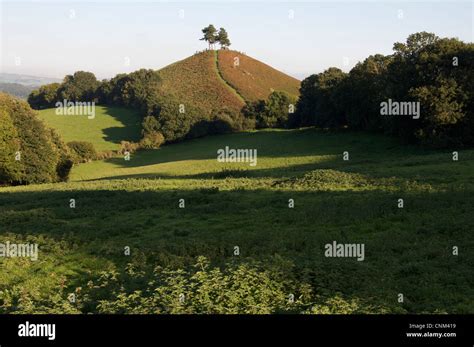 Colmers Hill This Modest But Distinctive Hill Has Become An Iconic