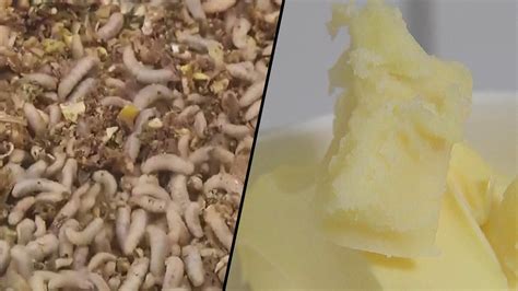 Butter Made From Bugs Could Soon Be An Actual Thing Inside Edition