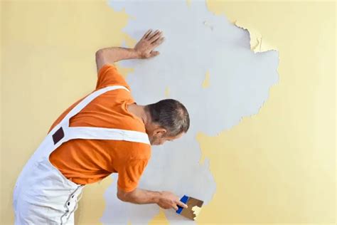 Why Is Paint Peeling Off My Walls Like Wallpaper Homedude