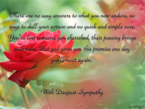 With Deepest Sympathy Comment Sympathy Deepest Card Hd Wallpaper
