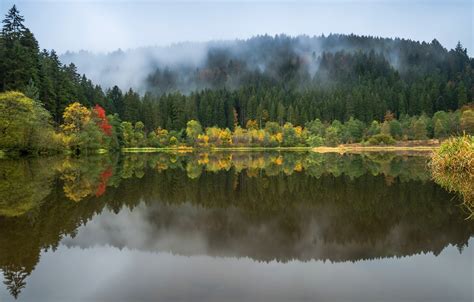 Wallpaper Autumn Forest The Sky Trees Landscape Nature Fog Lake Reflection Shore