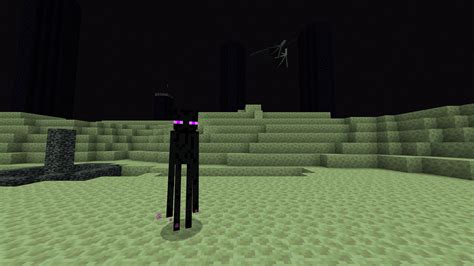 Minecraft Guide To The End World Cities Monsters Ender Dragon Loot