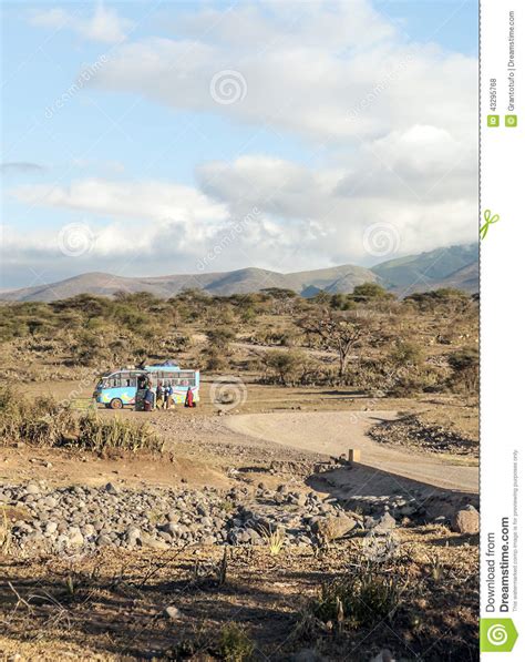 Dry Acacias In The Serengeti Editorial Stock Photo Image Of Nature