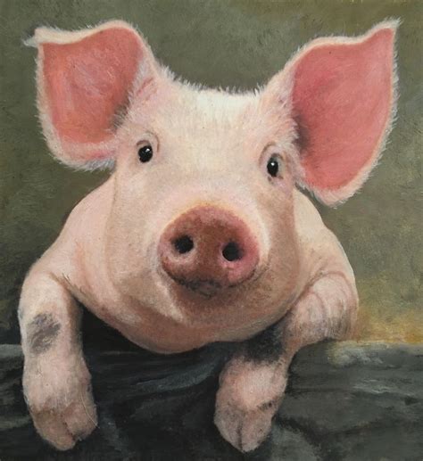 Little Lord Percey Pig Oil Painting By Christine Pettet Art