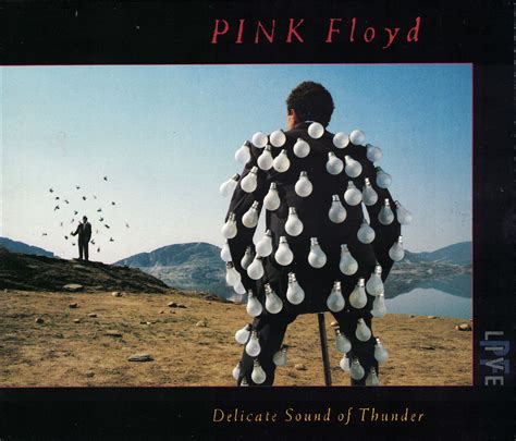 Release Delicate Sound Of Thunder By Pink Floyd Musicbrainz