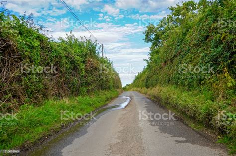 Single Lane Country Road With Hedge Rows Either Side Stock Photo