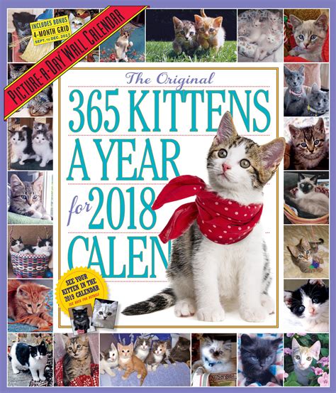 The 365 Kittens A Year Picture A Day Wall Calendar 2018 Workman