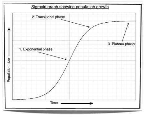 The Human Growth Curve Is Best Described As Being