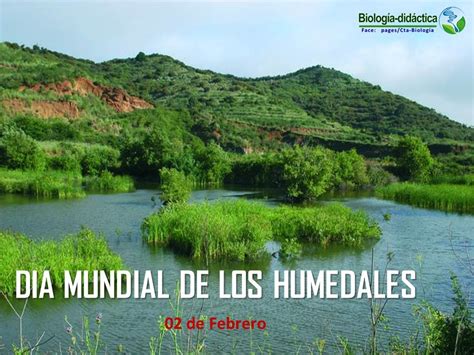 Sábado, 12 de junio de 2021 14:32 Biología didáctica: Día Mundial de los Humedales