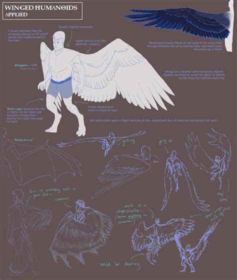 Winged Humanoid Part By Mernolan On DeviantArt Wings Drawing Art