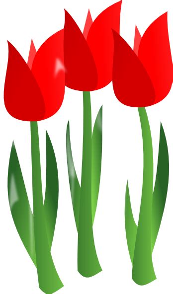 Gambar Kartun Bunga Tulip Vektor