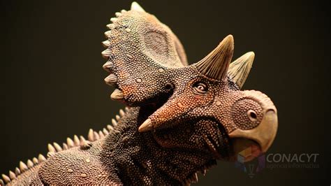 Paleontólogos Mexicanos Descubren Nuevo Dinosaurio En Coahuila Alef