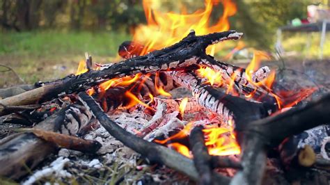 Bonfire In Forest Wooden Camp Fire Campfire Stock Footage Sbv 307283265 Storyblocks
