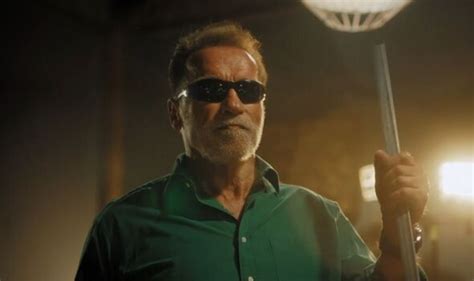 Arnold Schwarzenegger Wows Fans As He Teams Up With Major Supermarket