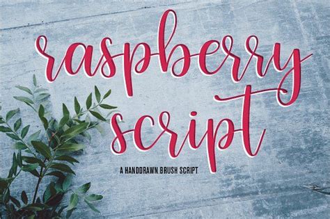 Raspberry Script Brush Font Lettering Business Card Logo